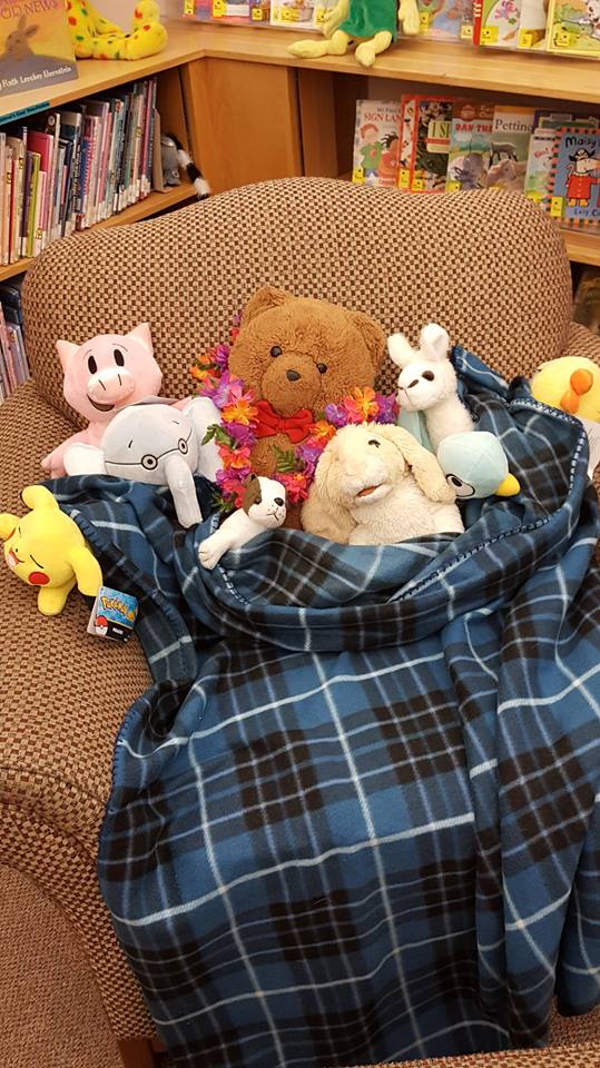 Stuffed Animal Sleepover Storytime Spring Green Community Library